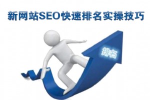 新網(wǎng)站SEO快速排名實(shí)操技巧