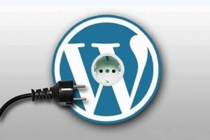 WORDPRESS頁面?zhèn)戊o態(tài)怎么設置利于SEO優(yōu)化